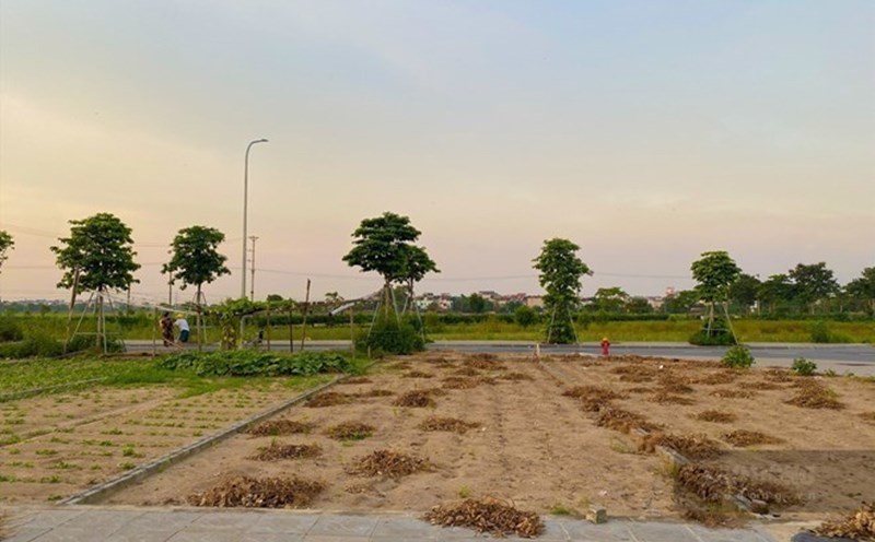 Đất nền đẹp khu dân cư Phan Đình Phùng