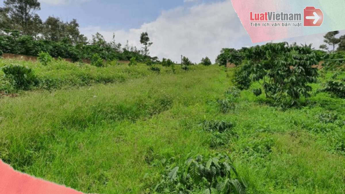 Đất vườn rộng rãi gần trung tâm Phan Đình Phùng