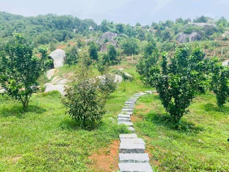 Đất vườn sinh thái gần trung tâm Quang Trung